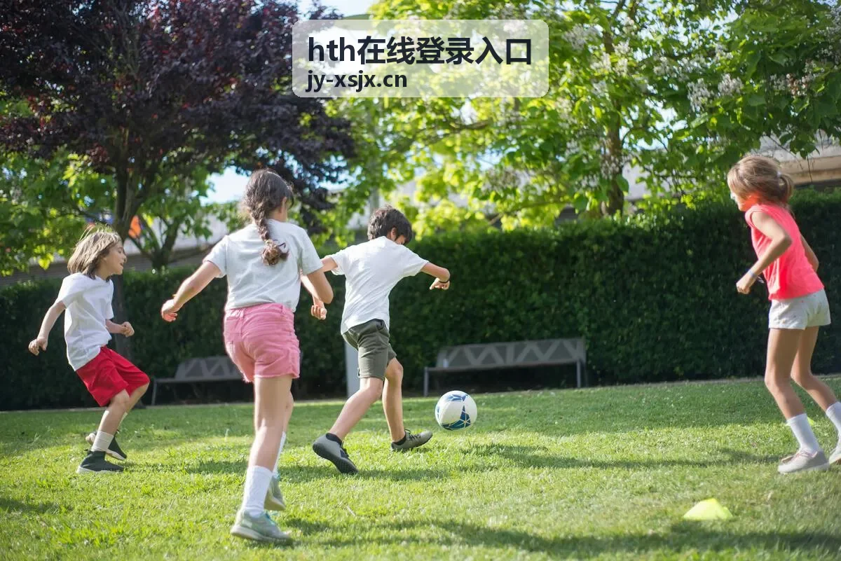 hth在线登录入口通道访问环节示意