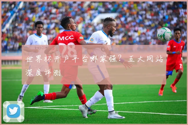 世界杯开户平台哪家强？五大网站深度评测
